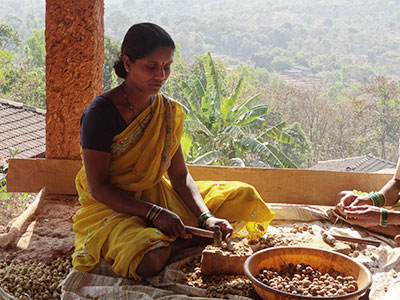 Arbete med nötter, Indien