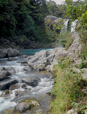 Tawhai falls