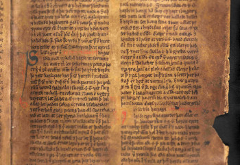 "Skallagrim was an industrious man. He always kept many men with him and gathered all the resources that were available for subsistence. (...) He had a farmstead built on Alftanes and ran another farm there, and rowed out from it to catch fish and cull seals and gather eggs, all of which were there in great abundance. There was plenty of driftwood to take back to his farm. Whales beached there, too, in great numbers, and there was wildlife there for the taking at this hunting post; the animals were not used to man and would never flee." The photograph shows folio 73 recto from the 14th century Möðruvallabók (AM 132 fol.), showing a part of Egils saga Skallagrímssonar. One has to be careful not to take this passage at face value because it contains some conventional elements that can be found in other stories as well. This is one important argument for integrating literary studies into an interdisciplinary environmental studies project such as IEM. Generally scientists may not be so well versed in literary texts, literary history or critical analytical methods. Working collaboratively with literary critics can help them distinguish between different varieties of information in terms of what elements may be considered more or less reliable.