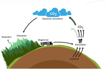 Den brukade skogens klimatnytta