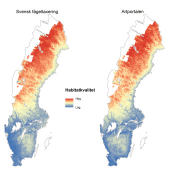 De två kartorna visar att förutsägelserna för var lavskrikan kan leva, blir väldigt lika oavsett om man använder data från svensk fågeltaxering (kartan till vänster) eller Artportalen (kartan till höger). Röda områden visar en hög sannolikhet för förekomst (”Habitat suitability”) och blå områden en låg sannolikhet. Vitmarkerade områden i nordvästra Sverige beräknades inte på grund av brist på skogliga miljödata.