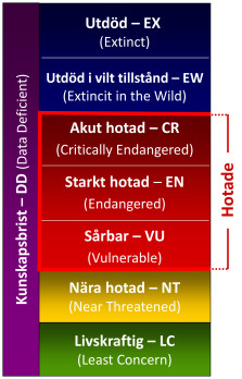 IUCN:s rödlistekategorier. På nationell nivå tillkommer kategorin Nationellt utdöd (RE – Regionally Exctinct) medan Utdöd i vilt tillstånd inte används annat än på global nivå.