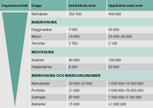 Känt och uppskattat antal av arter av jordorganismer och kärlväxter listade efter storlek. Det uppskattade antalet arter grundar sig på vetenskaplig litteratur, och stöds av expertutlåtanden. Sifforna är hämtade från Soil Biodiversity Atlas (2016). 