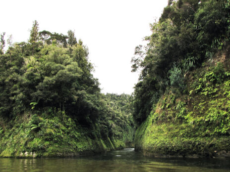 Whanganiu river