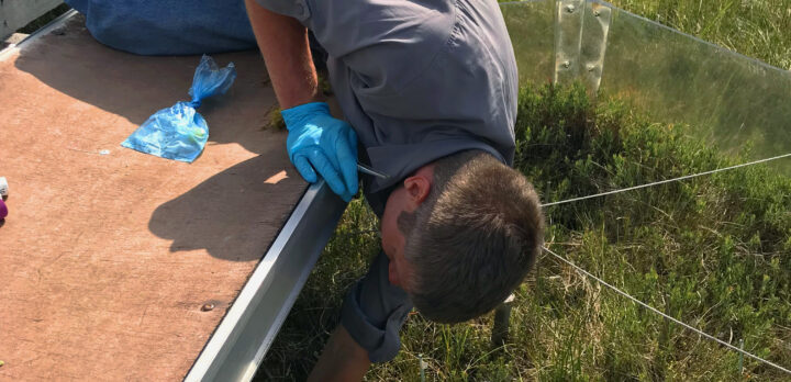 En forskare tar prover i ett försöksfält på en äng. Foto.