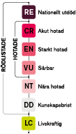 Illustration över kategorierna i rödlista. Visar två huvudkategorier: rödlistade och Hotade. I rödlistade ingår DD (Kunskapsbrist), NT (Nära hotad), VU (Sårbar), EN (starkt hotad), CR (akut hotad), RE nationellt utdöd). I kateorin Hotade ingår VU, EN, CR, ER. Utanför kategorierna finns kategorin LC (livskraftig)