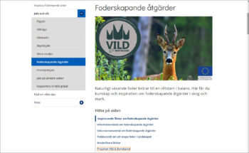 Skärmdump på en webbsida för projektet Vild och bortskämd.