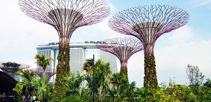Bild från park med stora strukturer som ser ut som stiliserade träd. Foto.