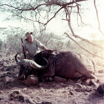 En man sitter vid en skjuten buffel.