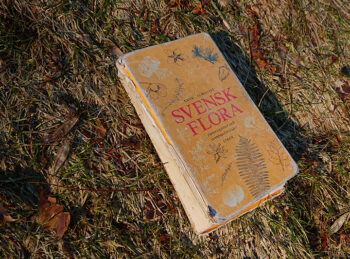 Ett gammalt använt exemplar av "Svensk flora" ligger på mossan.