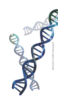 DNA-strängar. Illustration