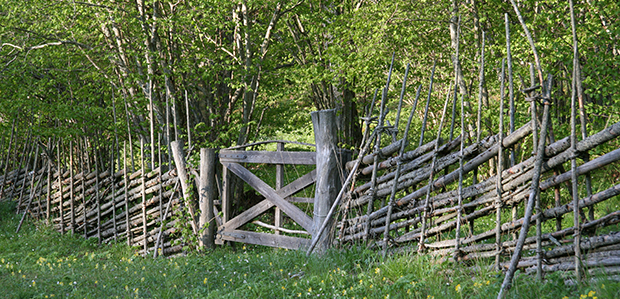 Bortom gränsen