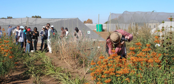 Masterprogrammet Management of biological diversity