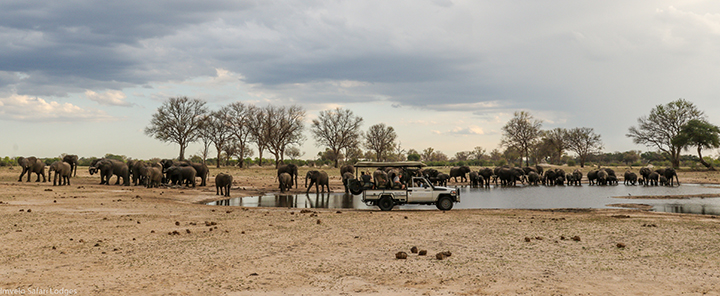 Ett vattenhål på savannen, med en flock elefanter, och en turistjeep vid stranden. Foto.