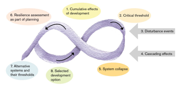 Illustration over a process where assessment resilience is a part of Environment Impact Assessment.