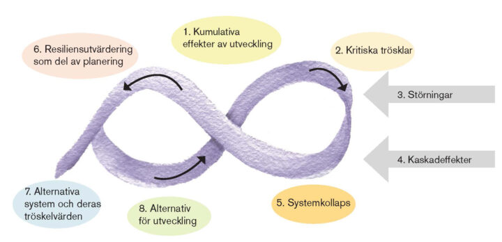 Illustration över en process där bedömning av resiliens kan komma in son en del av miljöbeskrivningen. Illustration.