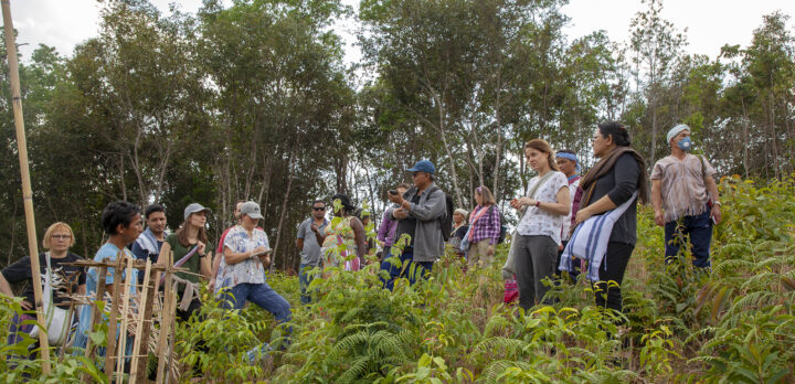 En grupp människor står i midjehög vegetation i en sluttning i ett tropiskt land. Foto.