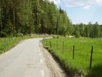 En smal asfalterad väg går genom ett sommarlandskap, med en skog på ena sidan och en ängsmark på andra sidan. Dikena nygrävda. Foto.