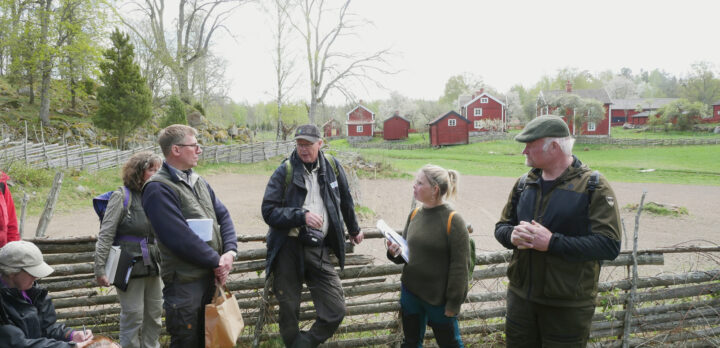 En grupp människor står i förgrunden och pratar vid en gärdesgård, bakom den en grusväg och i bakgrunden en samling röda små hus och en dunge. Foto.