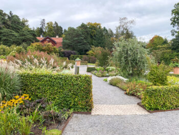 Park med grusgång, häck och blommor. I bakgrunden taket på ett hus. Foto.