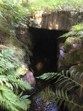 Utomhus, sommar, stenar och betongblock bildar en öppning till en tunnel. Foto.