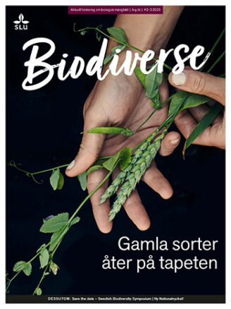 Tidningsomslag